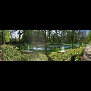 Meet your Posher, Diana